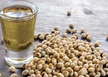 Suspendieron las exportaciones de harina y aceite de soja