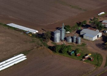 Los productores deberán informar dos veces al año su stock de granos