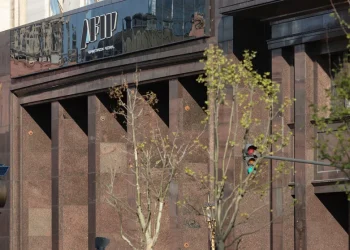 Cuánto le pagará en impuestos la Selección a la AFIP por haber ganado la Copa del Mundo en Qatar 2022