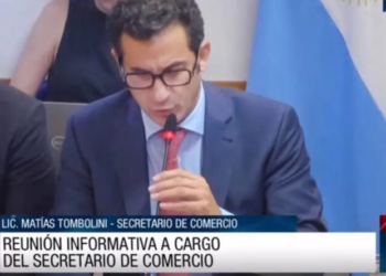 El secretario de comercio, Matías Tombolini, expuso en diputados