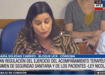 En comisión de salud, avanzó el proyecto sobre seguridad del paciente y la iniciativa que regula la actividad del acompañante terapéutico