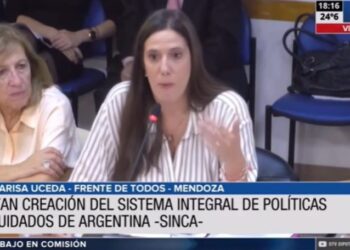 En plenario de Diputados, se inició el debate sobre tareas de cuidado