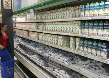 En el mercado interno la venta de leche y sus derivados sigue en una pronunciada caída