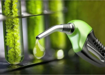 Pymes productoras de biocombustible reclaman al ejecutivo un precio del biodiesel y solicitan abrir el debate de las reformas a la ley