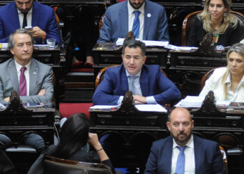 Diputados: gritos entre lilitos y libertarios en la sesión de Ficha Limpia