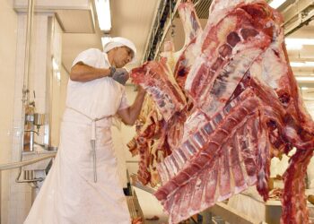 Se enviaron al exterior casi 700.000 toneladas en el año por US$ 2.122 millones.