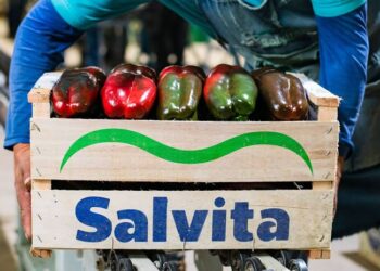 Gigante del norte salió de compras y desembolsó u$s12 millones