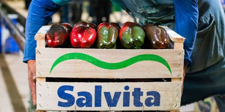 Gigante del norte salió de compras y desembolsó u$s12 millones