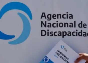 Discapacidad: el Gobierno dispuso cambios en los fondos para la integración social