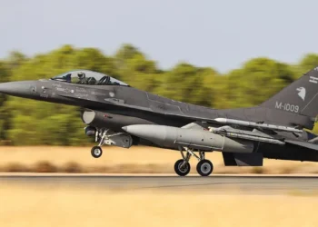 Cómo es el avión F-16 que compró la Fuerza Aérea