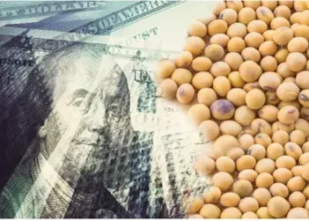 Alerta dólar: recortan estimación del área de soja para la cosecha 2024/25