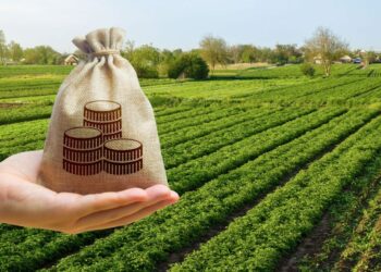 Cuánto le costará al Gobierno la baja de las retenciones al campo