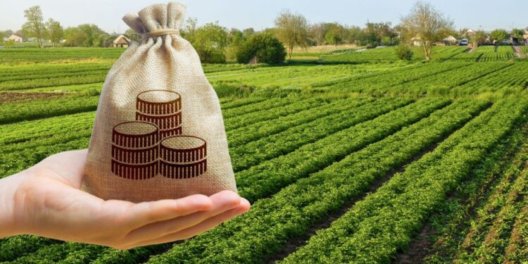 Cuánto le costará al Gobierno la baja de las retenciones al campo