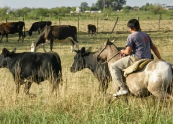 Piden al Ministro de Economía que active la obra pública