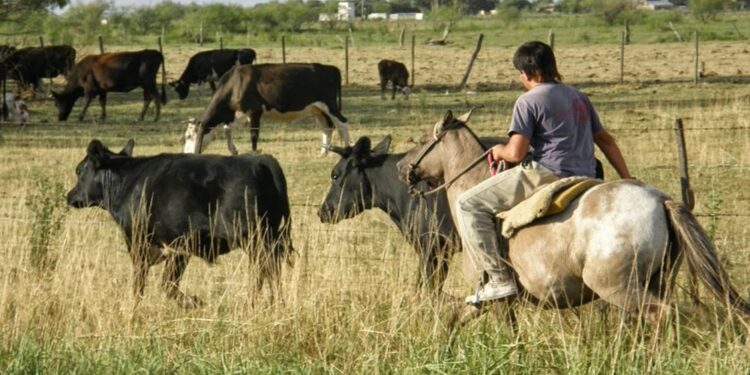 Piden al Ministro de Economía que active la obra pública