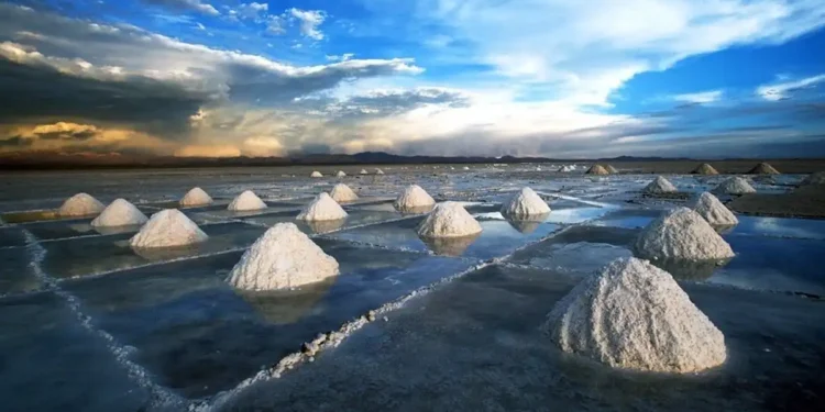 Litio argentino: Salta despachó su primer lote para la exportación