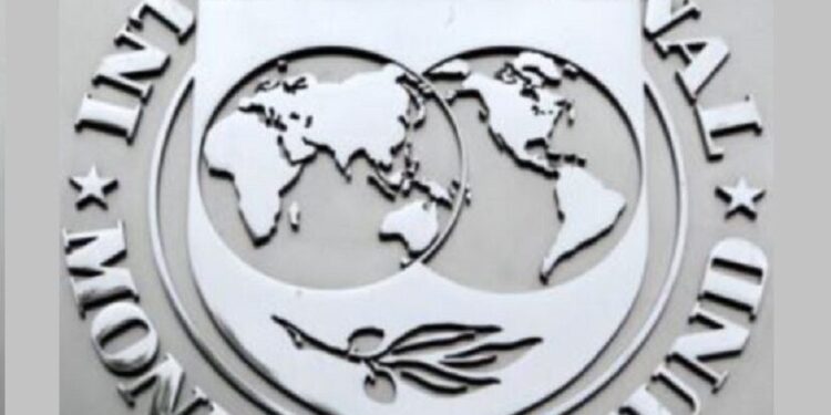 Advierten que el préstamo del FMI a la Argentina podría ser declarado “ilegítimo”