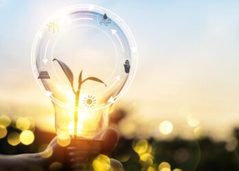 Ajuste de Subsidios: Caída real del 50% en dos meses persiste