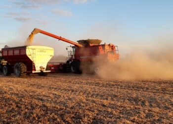 Milei advierte al campo: Sin liquidación, subirán las retenciones