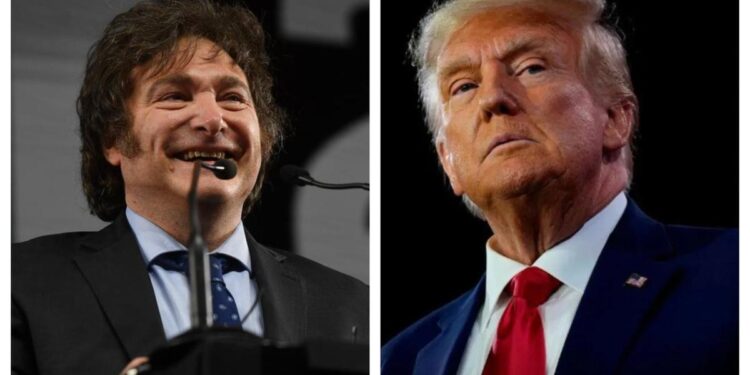 Reacción de Milei a la crisis: la clave del bono del Tesoro