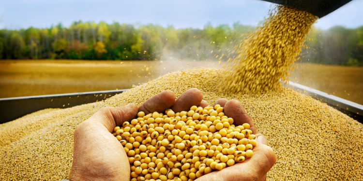 Soja en alza: Japón y el conflicto China-EEUU