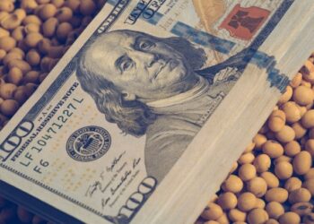 Liquidación de granos disminuye 15% por tensión cambiaria