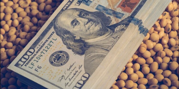 Liquidación de granos disminuye 15% por tensión cambiaria