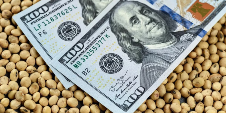 Agro preocupado: Acuerdo EEUU-Vietnam afecta exportaciones.