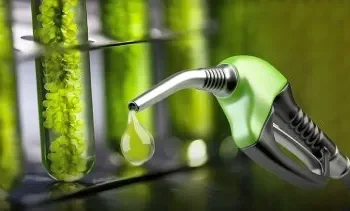 Milei da luz verde a suba de biodiésel.