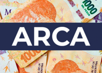 Impuesto PAIS: ARCA confirma devolución a grupo.