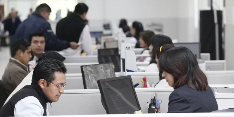 Reforma laboral y empleo público: Oficializan registro de disponibilidad