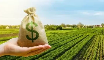 Ganancias evaporadas: la realidad del campo argentino ante la dolarización.