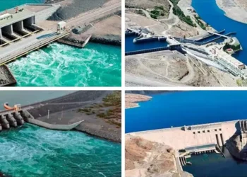 El Gobierno licita la venta de hidroeléctricas de ENARSA