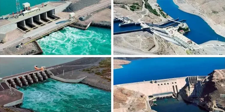 El Gobierno licita la venta de hidroeléctricas de ENARSA