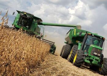 Agro argentino: entre EEUU y China