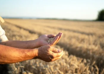 El campo celebra: U$S 7 mil millones y sin retenciones.