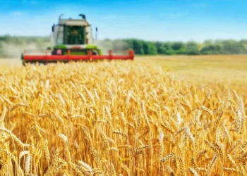 Retenciones en Argentina: Un siglo y medio de aplicación