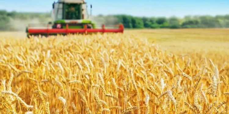 Retenciones en Argentina: Un siglo y medio de aplicación