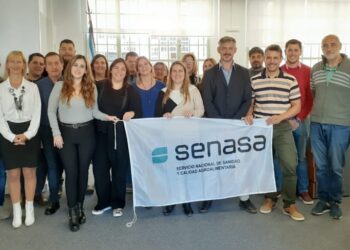 Controles de Senasa: Veterinarios importados bajo la lupa.