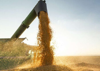 Baja de retenciones: El ajuste fiscal se profundiza.