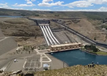 Alicurá y otras, hacia la privatización