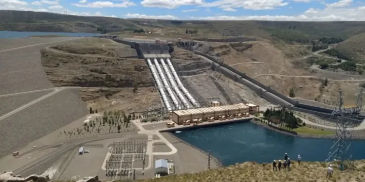 Alicurá y otras, hacia la privatización