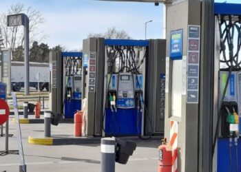 Pérdidas por ley de biocombustibles, alerta bioenergética.