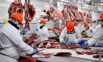 Argentina y EEUU: negociación por cuota de carne vacuna
