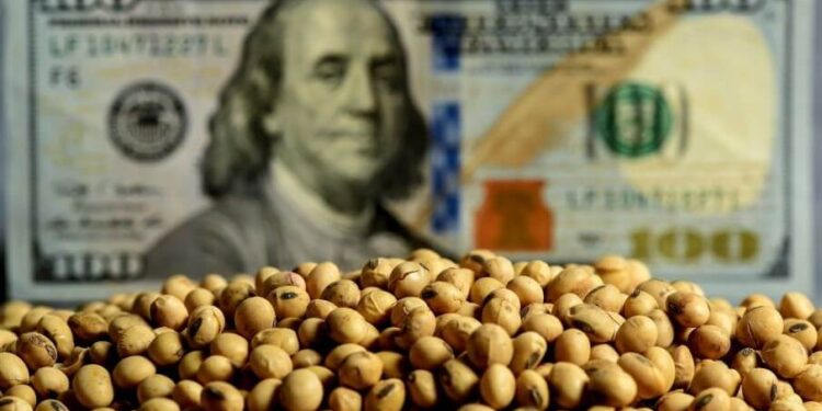 La caída de liquidaciones en octubre, factor clave para el dólar.