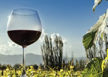 Tensión vitivinícola: Desregulación de controles en el ojo de la tormenta.