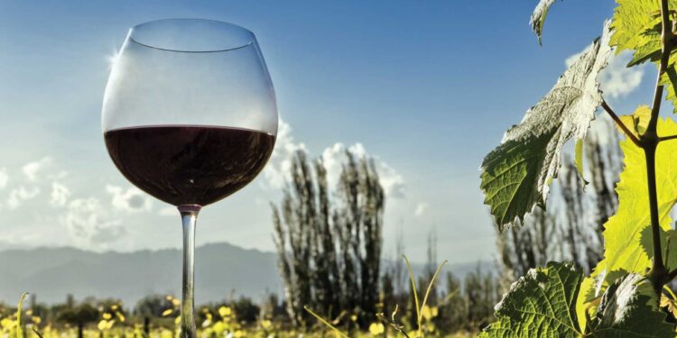 Tensión vitivinícola: Desregulación de controles en el ojo de la tormenta.