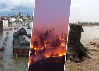 La hoja de ruta de América Latina en sostenibilidad.