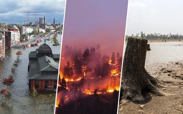 La hoja de ruta de América Latina en sostenibilidad.