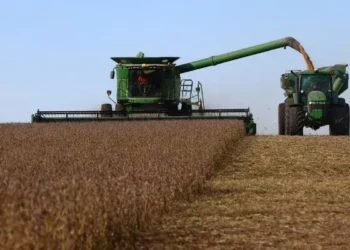 La soja con menos retenciones: Del 26% al 24%.